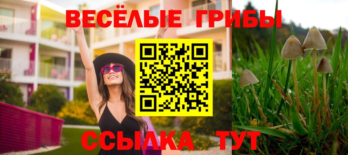 Псилоцибиновые грибы ЛСД  Вход с VPN  Орск  Псилоцибиновые грибы GOLDEN TEACHER 